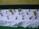 Filename=6_trees_to_scale.jpg
Filesize=14KiB
Dimensions=248x186
Date added=Sep 18, 2008 6_trees_to_scale.jpg