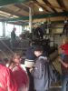 Filename=IMG_0340.jpg
Filesize=65KiB
Dimensions=450x600
Date added=Sep 28, 2012 IMG_0340.jpg