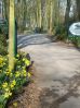 Filename=P1020165.jpg
Filesize=63KiB
Dimensions=336x448
Date added=Apr 03, 2009 P1020165.jpg
